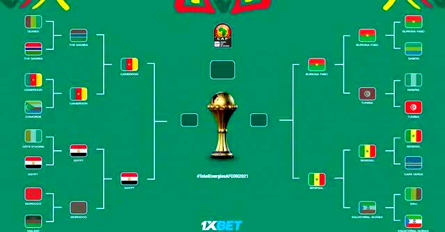 非洲球队赢得惊险比赛，晋级半决赛